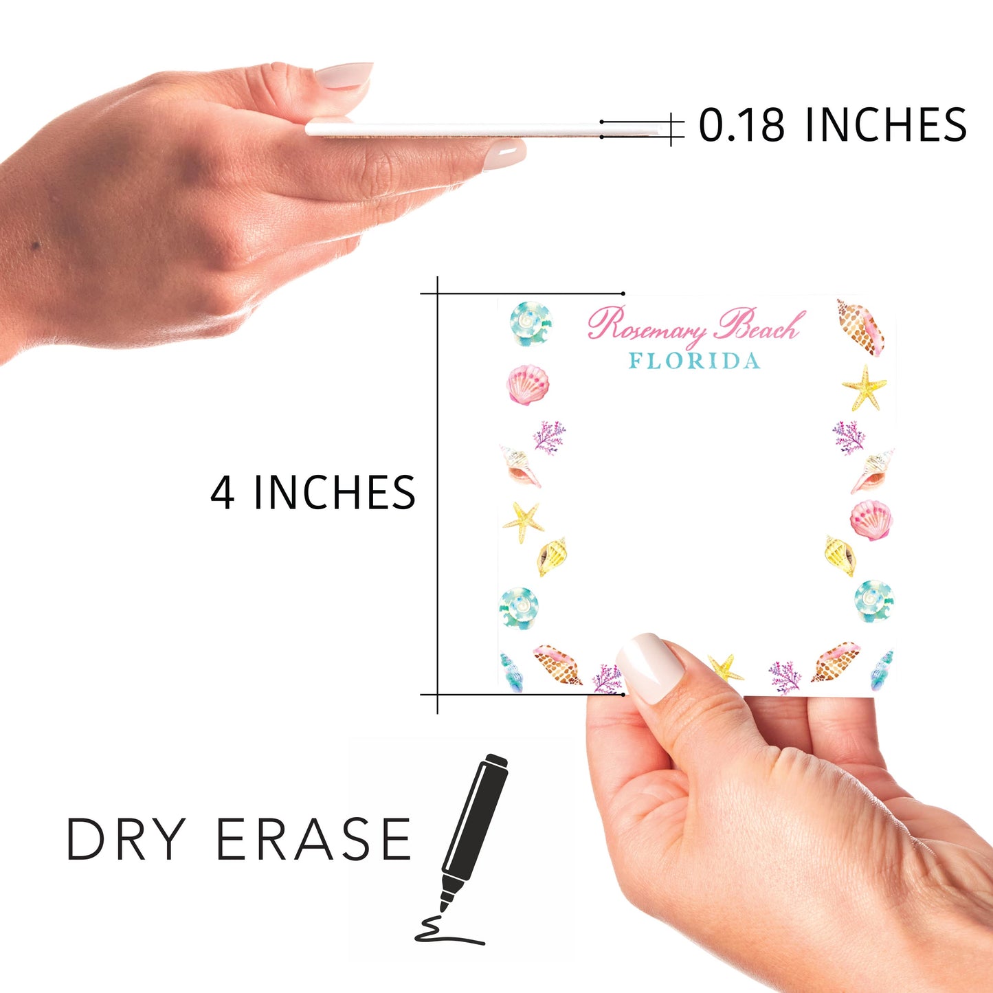 Love+Local 4x4 Dry Erase | Shells & Shoreline