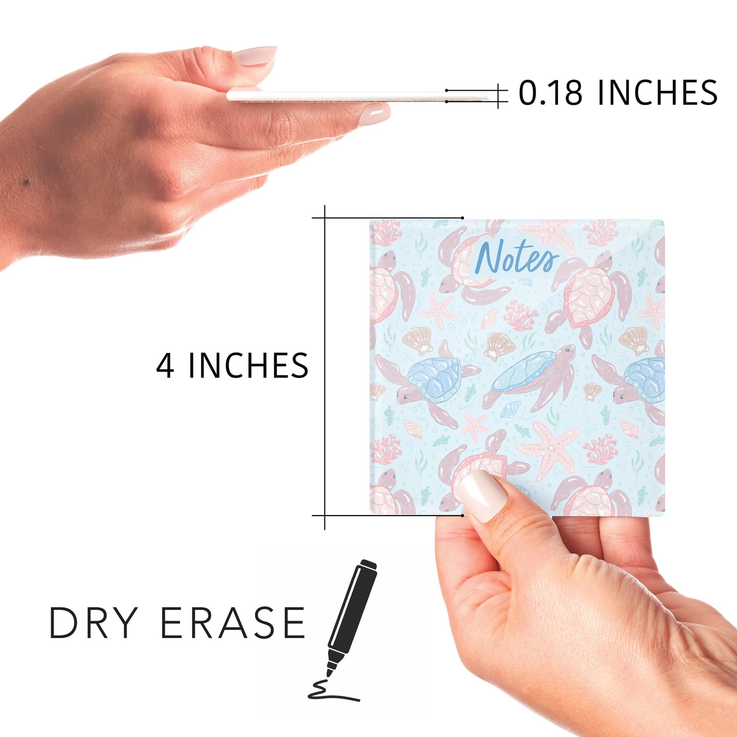 4x4 Clear Reminder Kalia Lane-Coastal Sea Turtles Notes