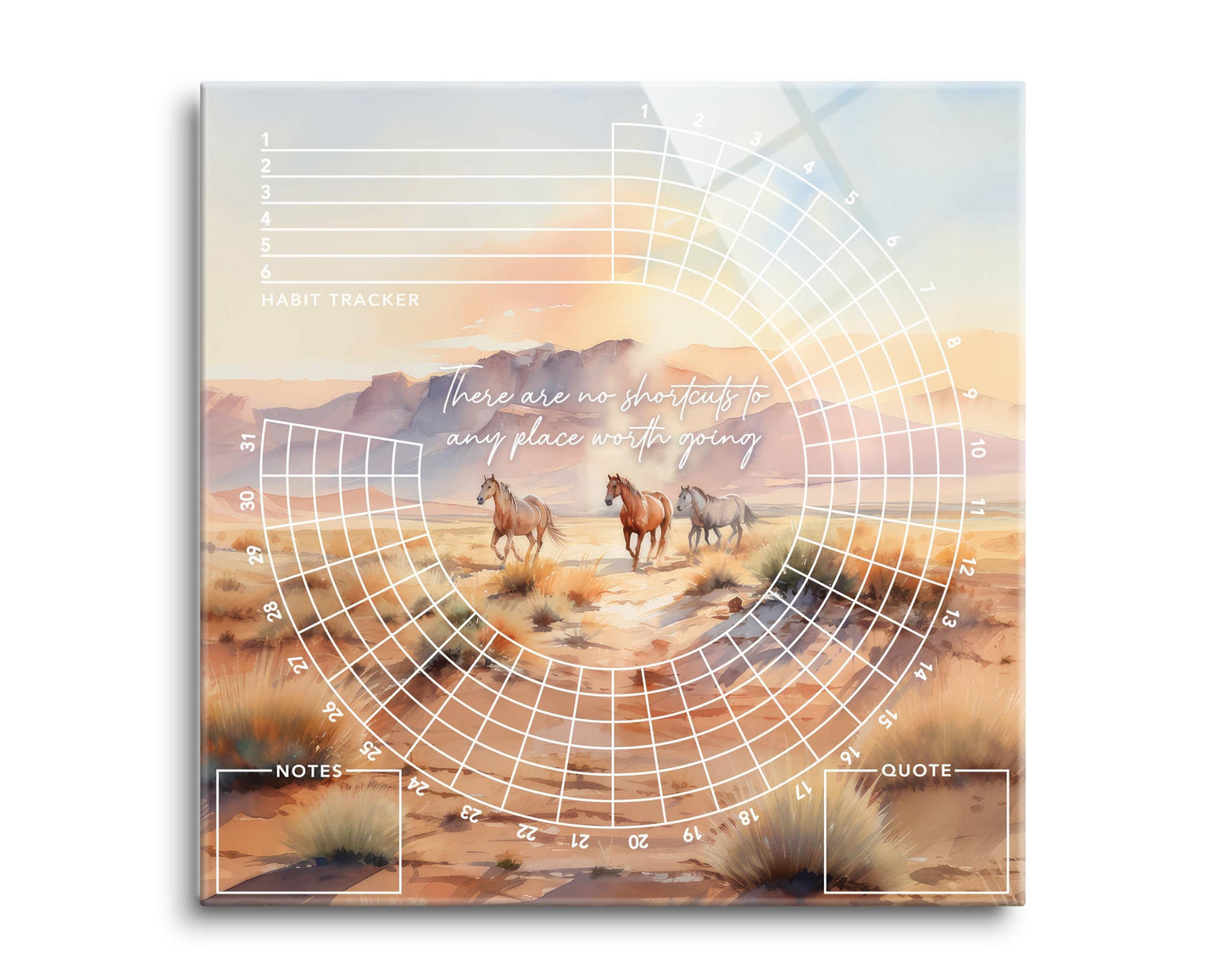 Western There Are No Shortcuts | 8x8