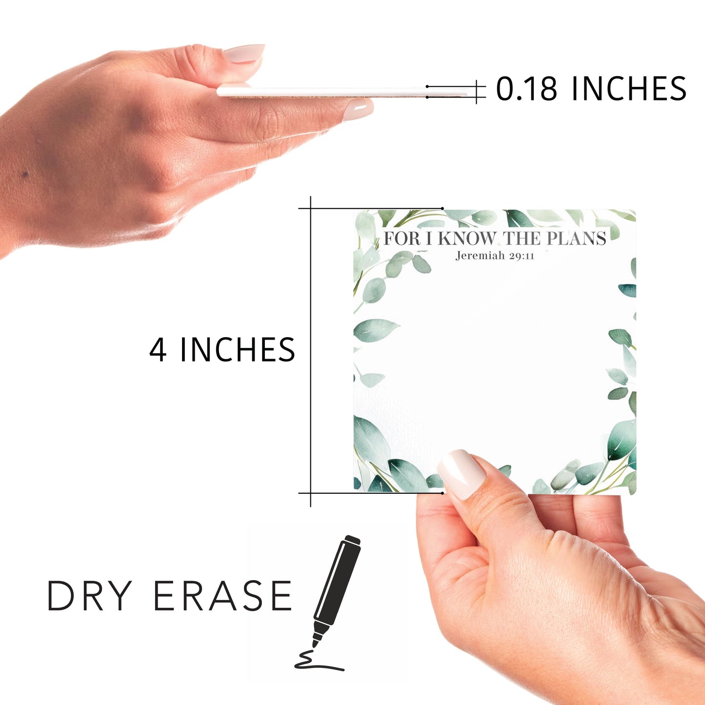 I Know The Plans Eucalyptus Notes | 4x4