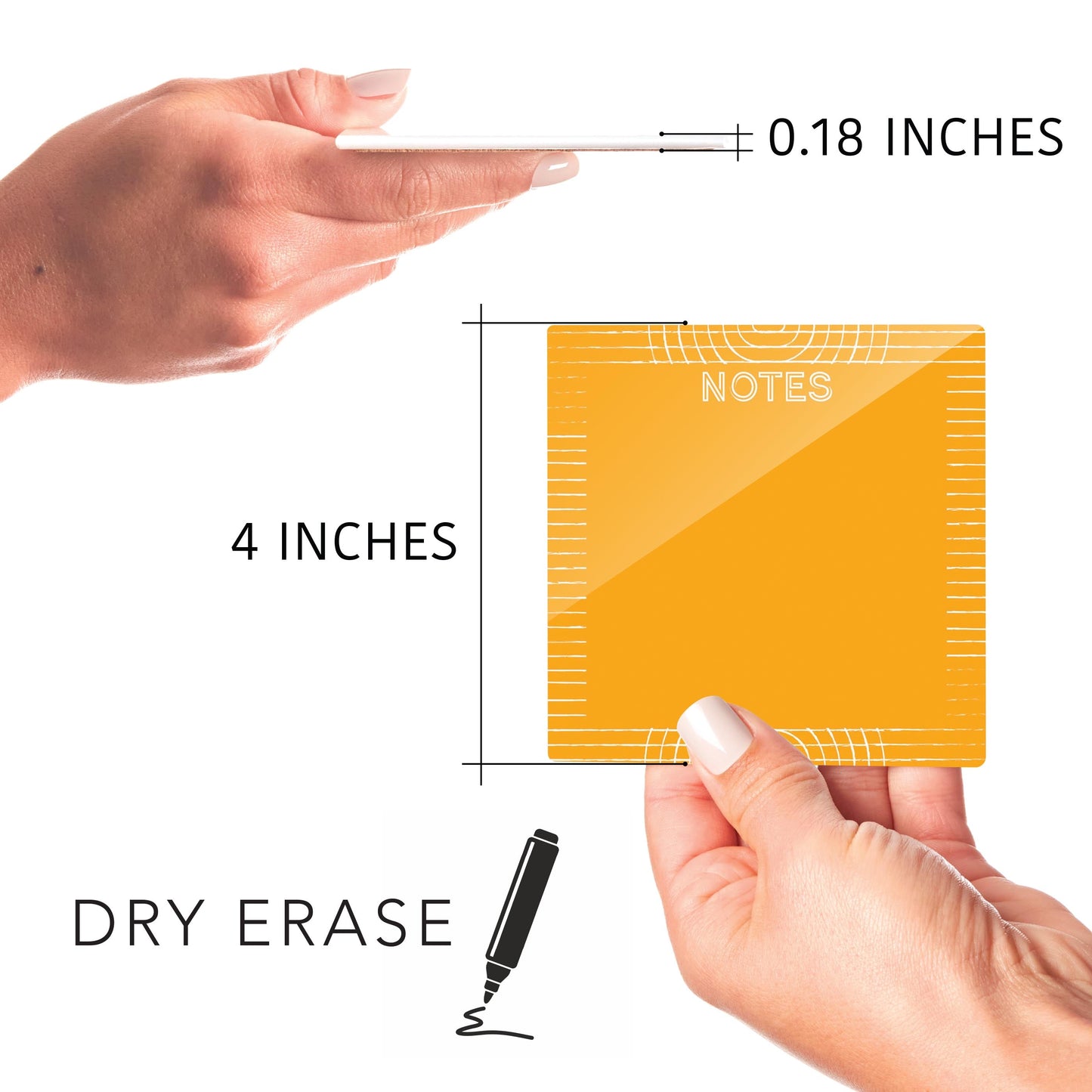 Neon Notes Line and Circle Pattern on Orange | 4x4
