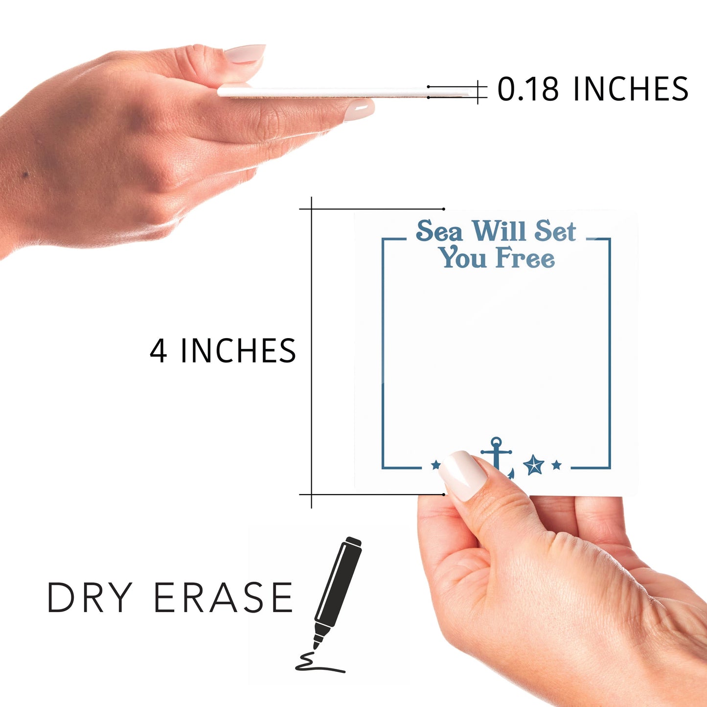 Coastal Sea Will Set You Free Notes | 4x4