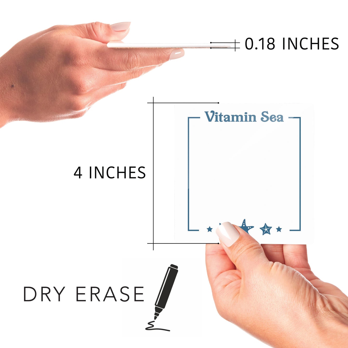 Coastal Vitamin Sea Notes | 4x4