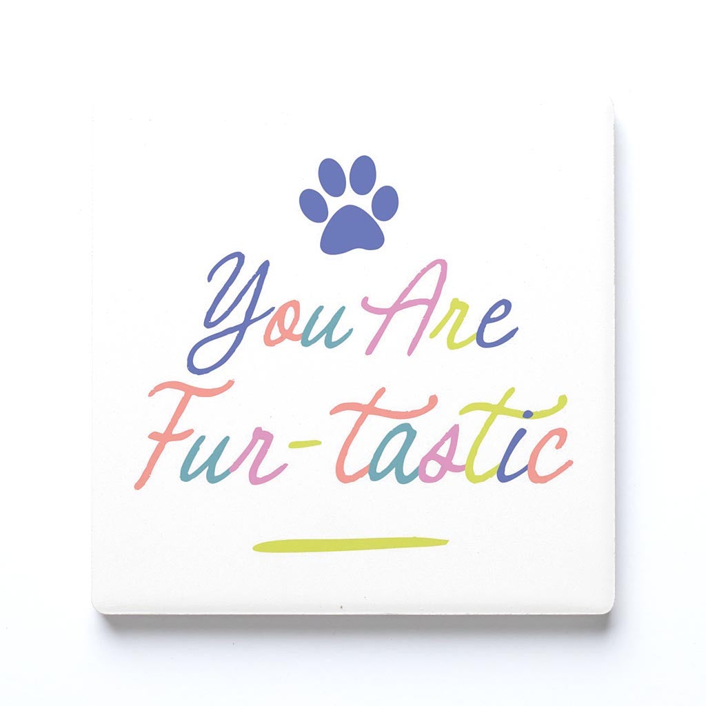 Square Coaster Loaded Display - Pets Pre-Pack