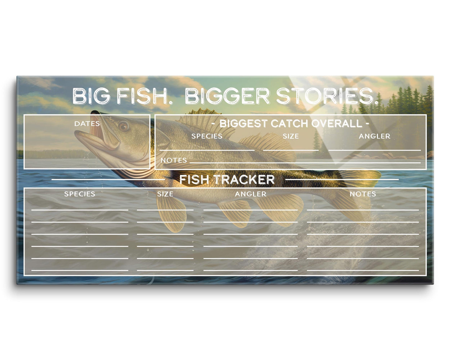 Fish Tracker Big Fish Bigger Stories | 16x8