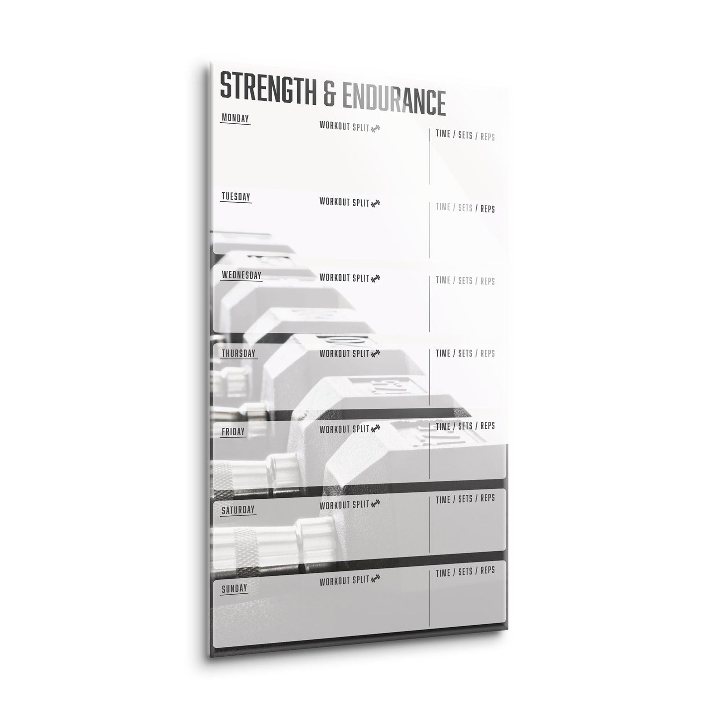 Weight Dumbbell Strength & Endurance Fitness Tracker | 8x16