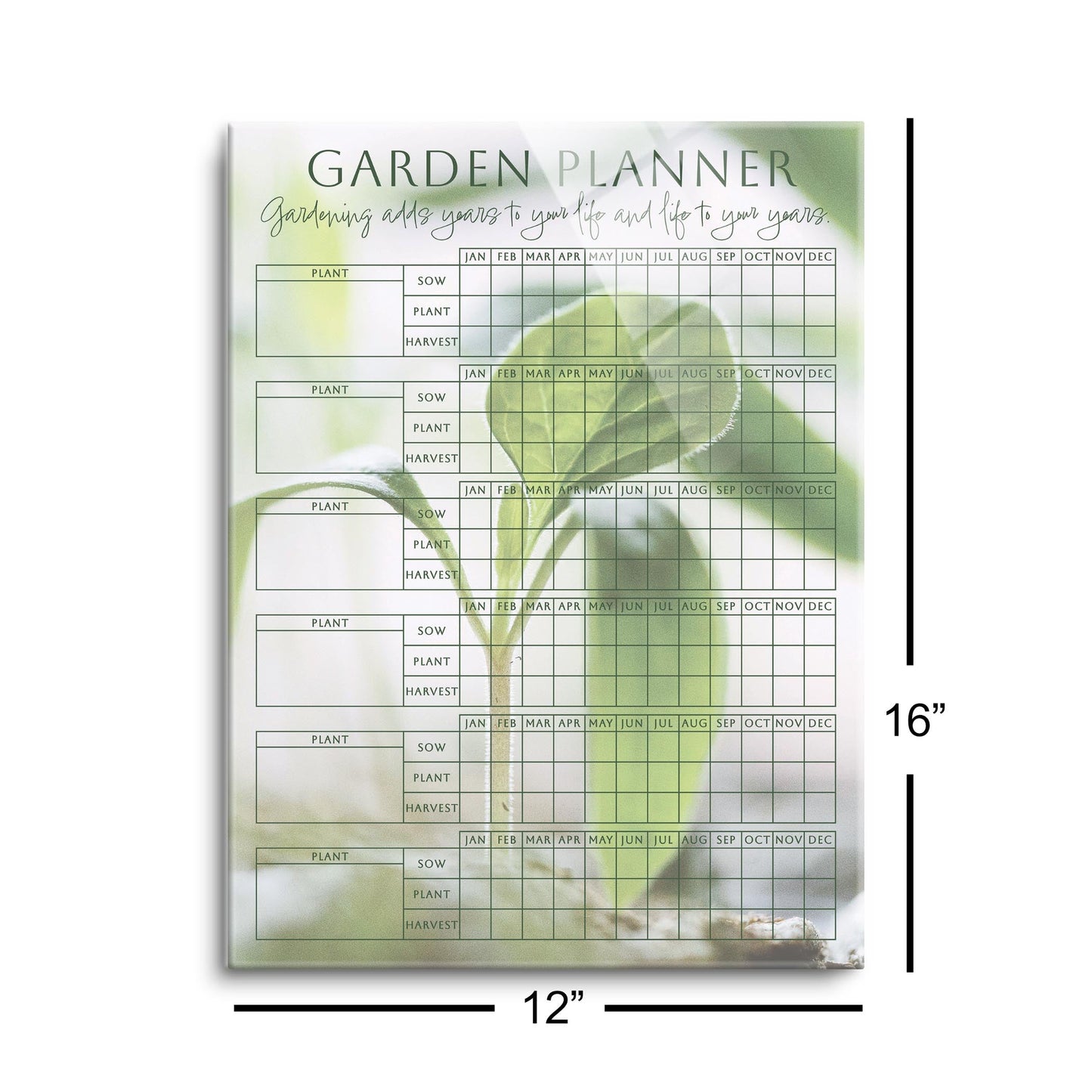 Garden Planner Life To Your Years Green Seedling | 12x16