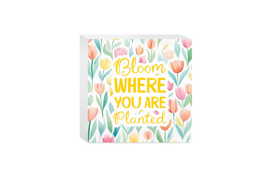 Spring Pastel Bloom Where You Are Planted | 5x5