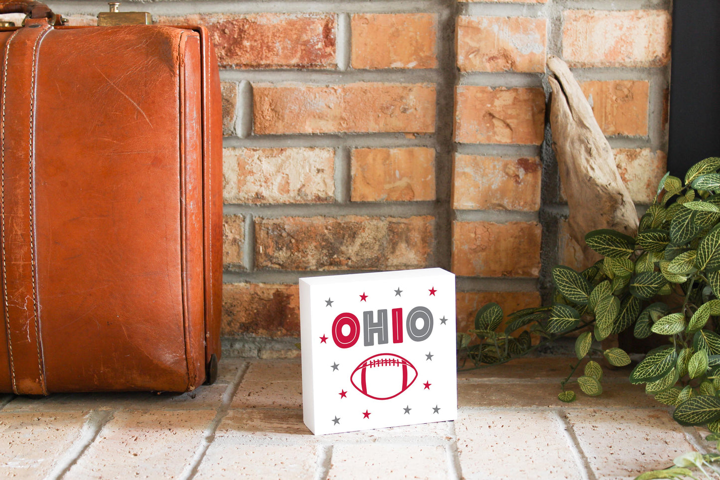 Clairmont & Co Game Day Stars Ohio | 5x5