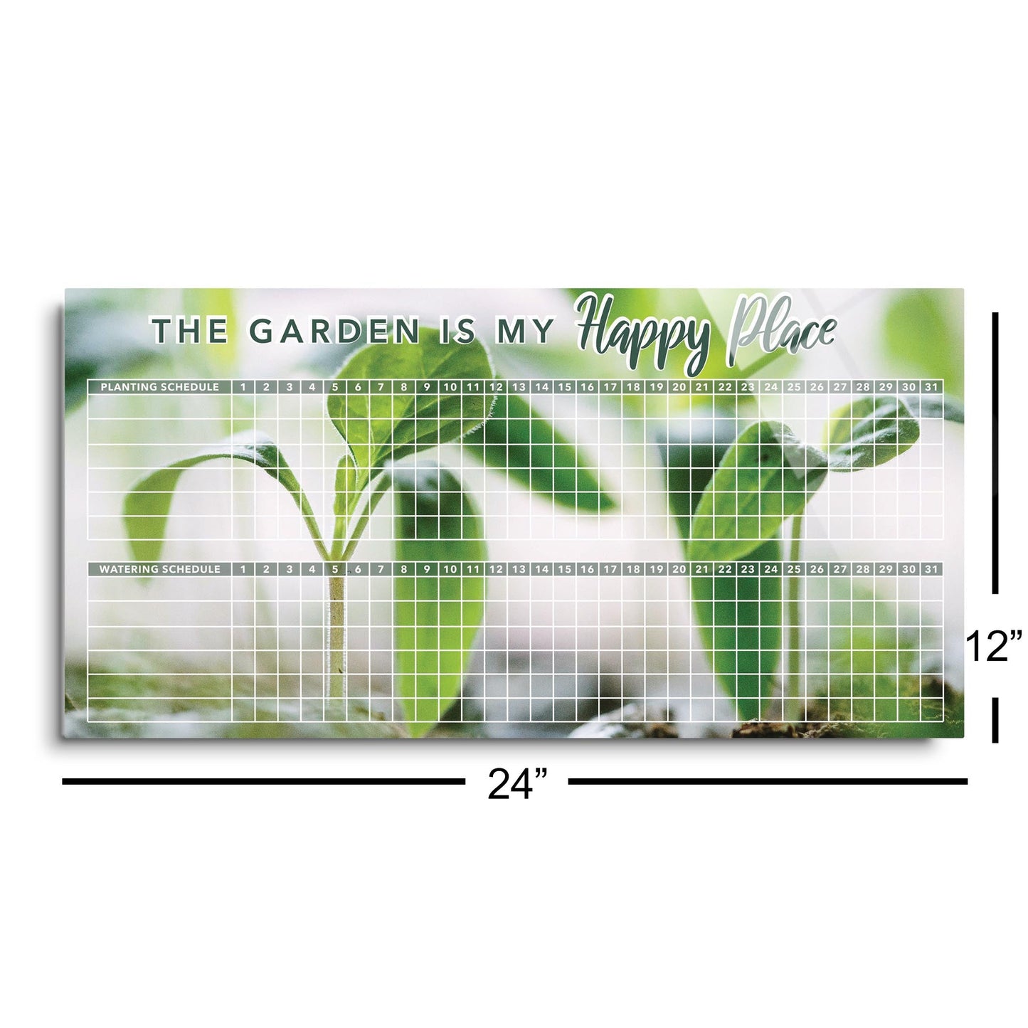 Green Seedlings Planting and Watering Schedule | 24x12